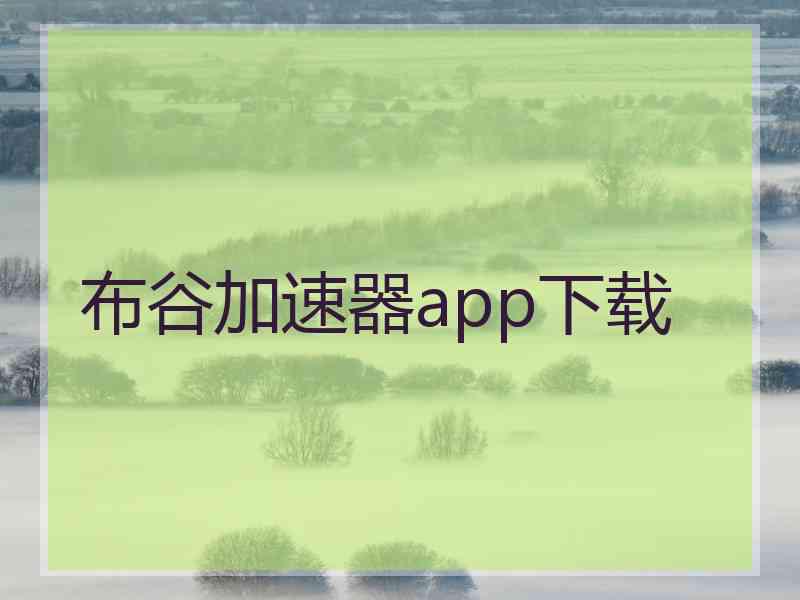 布谷加速器app下载