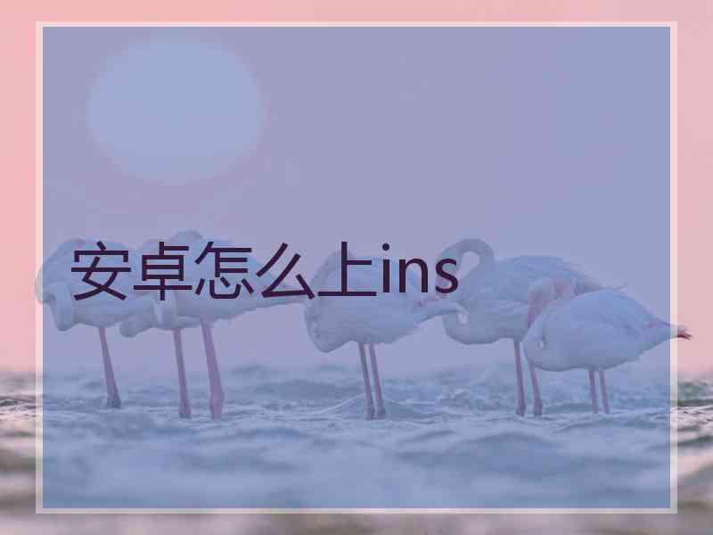 安卓怎么上ins