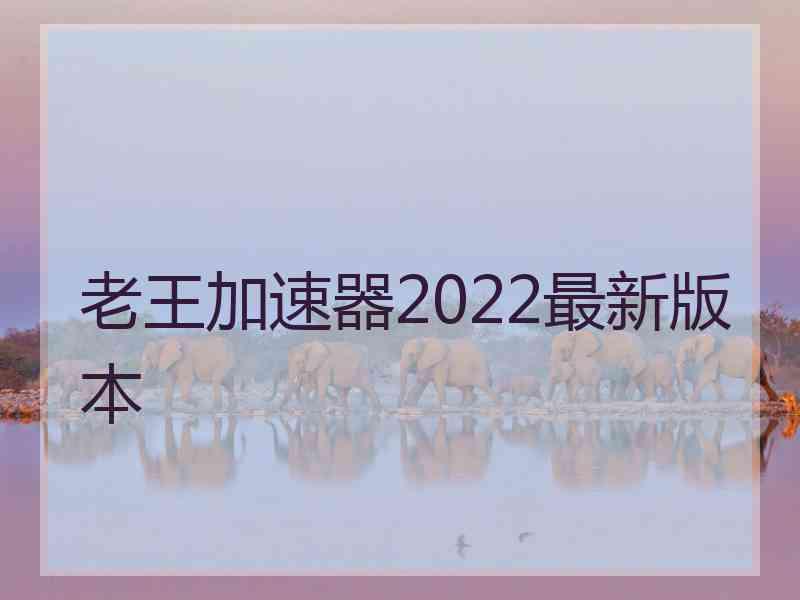 老王加速器2022最新版本