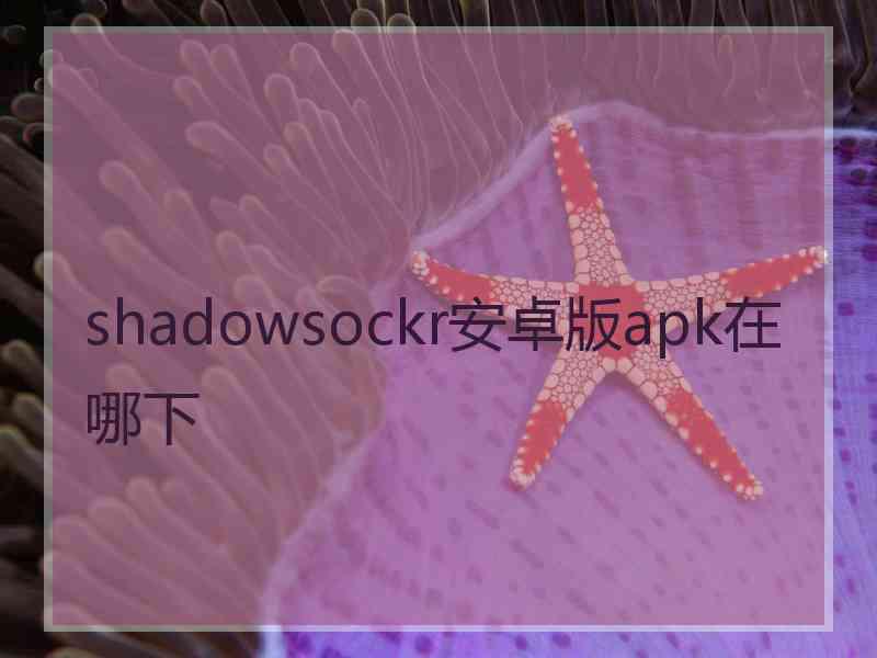 shadowsockr安卓版apk在哪下