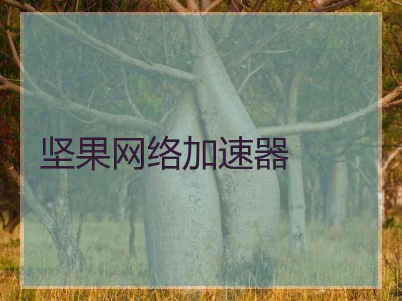 坚果网络加速器