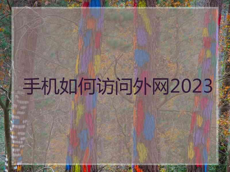 手机如何访问外网2023