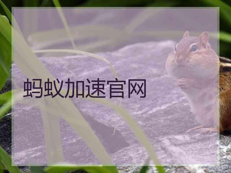 蚂蚁加速官网