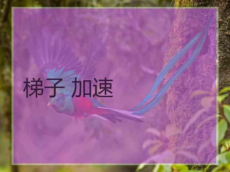 梯子 加速