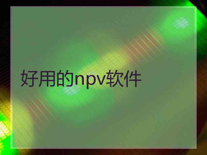 好用的npv软件