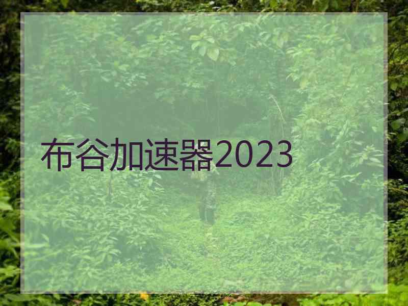 布谷加速器2023