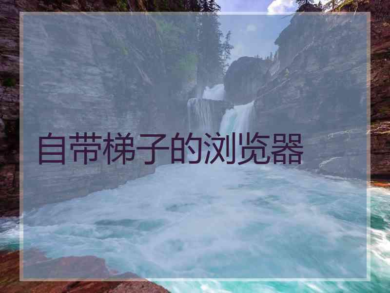 自带梯子的浏览器