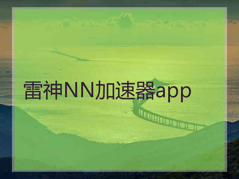 雷神NN加速器app