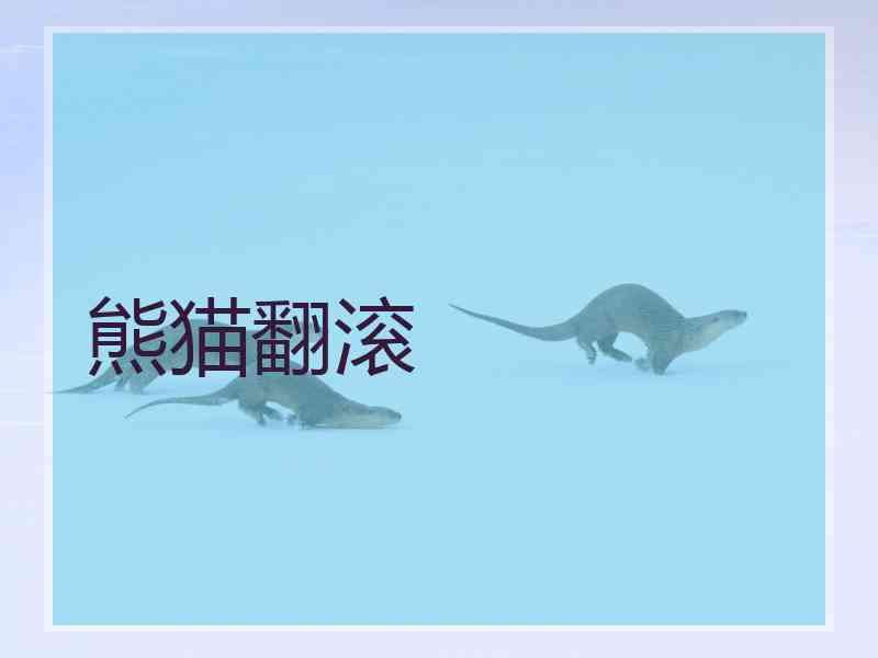 熊猫翻滚