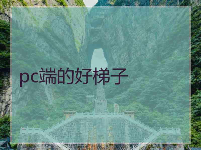 pc端的好梯子