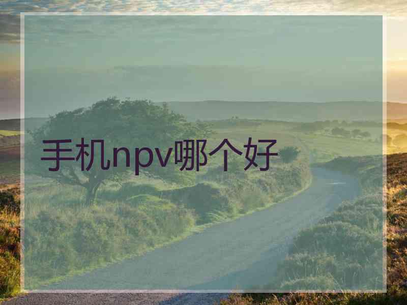 手机npv哪个好