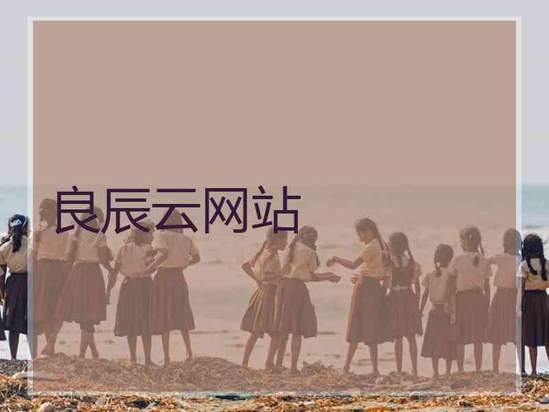 良辰云网站
