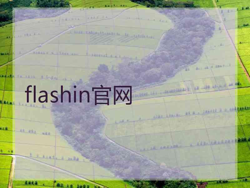 flashin官网