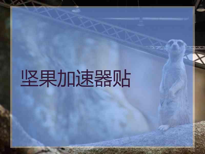 坚果加速器贴
