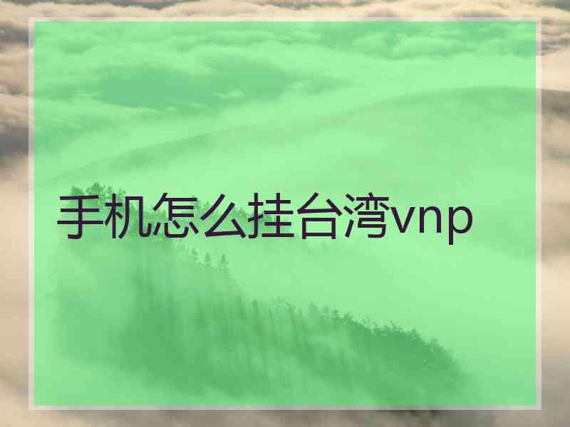 手机怎么挂台湾vnp