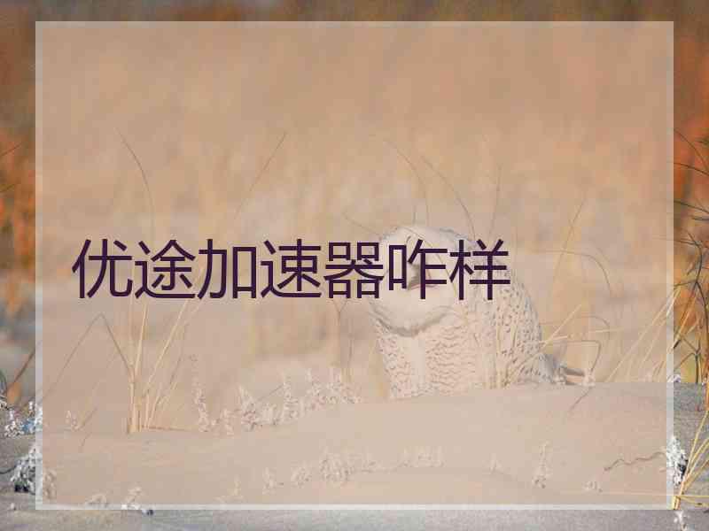 优途加速器咋样