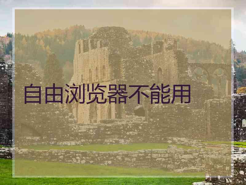 自由浏览器不能用