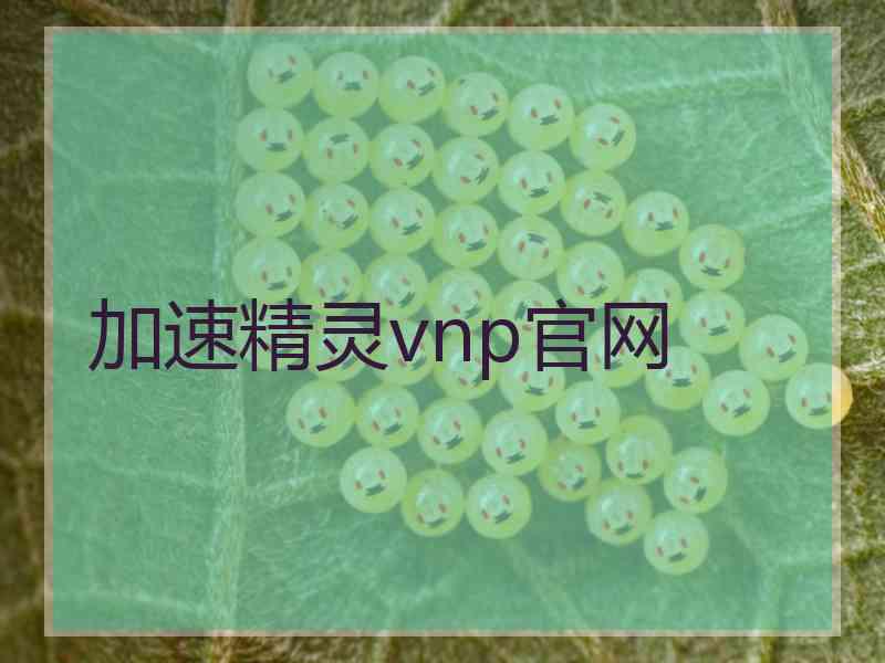 加速精灵vnp官网