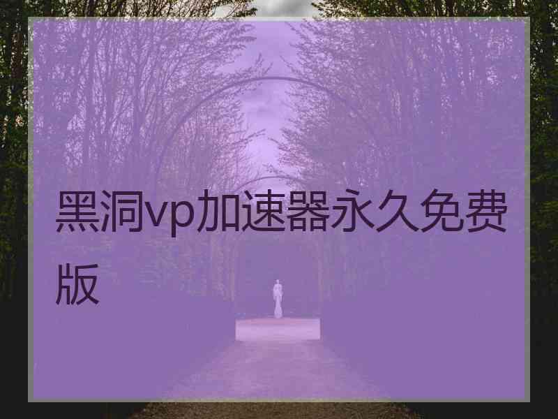 黑洞vp加速器永久免费版
