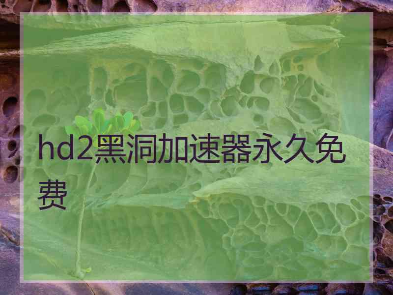 hd2黑洞加速器永久免费