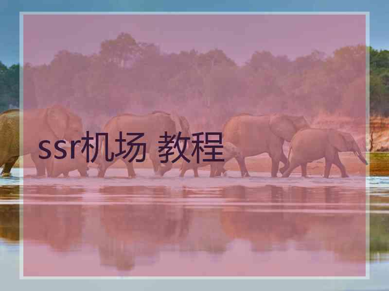 ssr机场 教程