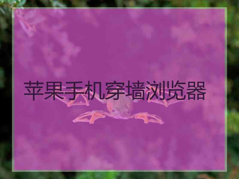 苹果手机穿墙浏览器
