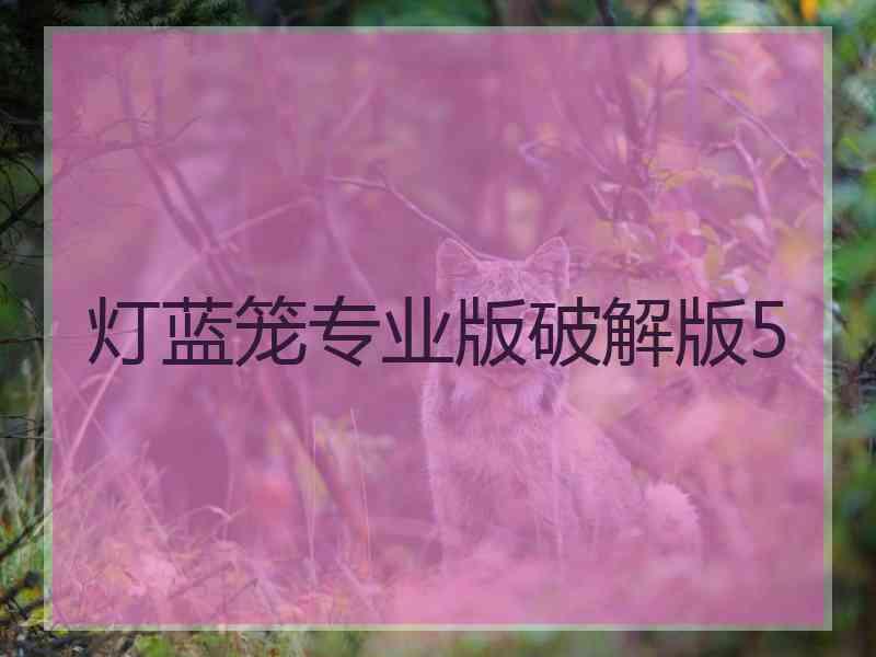 灯蓝笼专业版破解版5