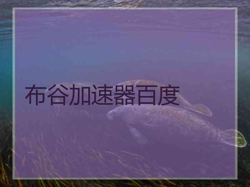 布谷加速器百度