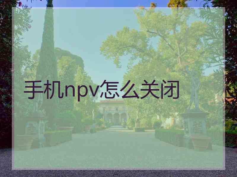 手机npv怎么关闭