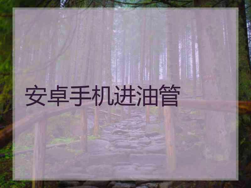 安卓手机进油管