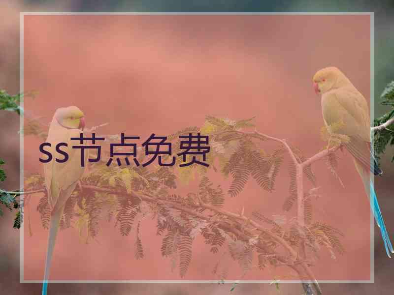 ss节点免费