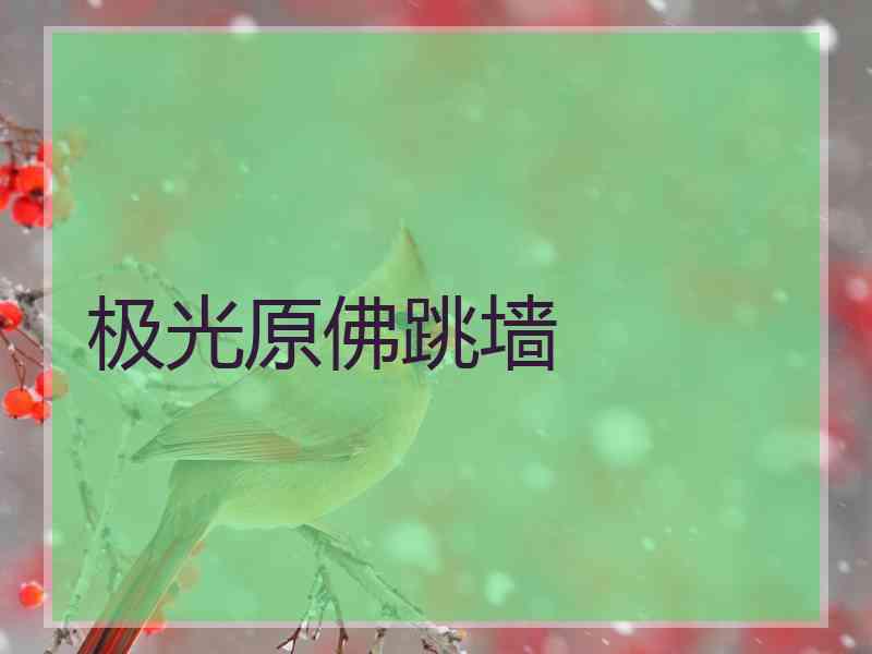 极光原佛跳墙
