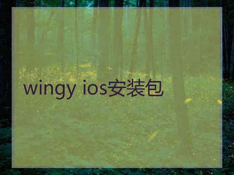 wingy ios安装包
