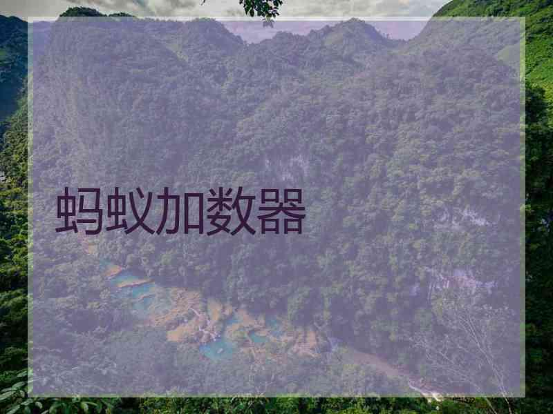 蚂蚁加数器