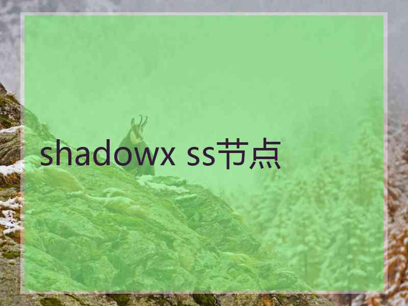 shadowx ss节点