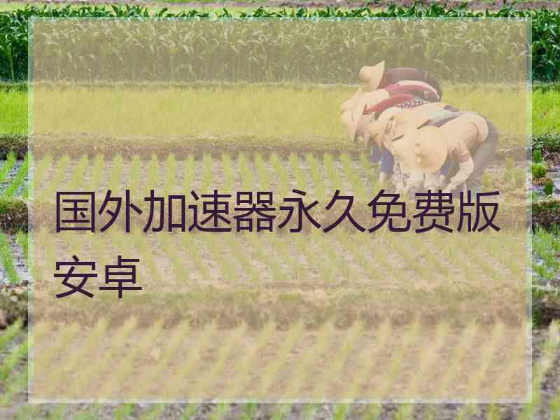 国外加速器永久免费版安卓