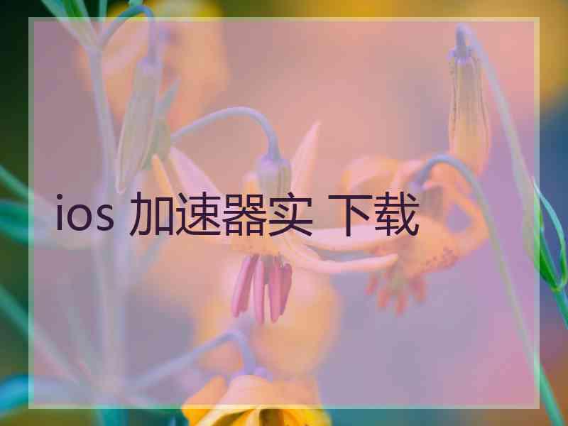 ios 加速器实 下载
