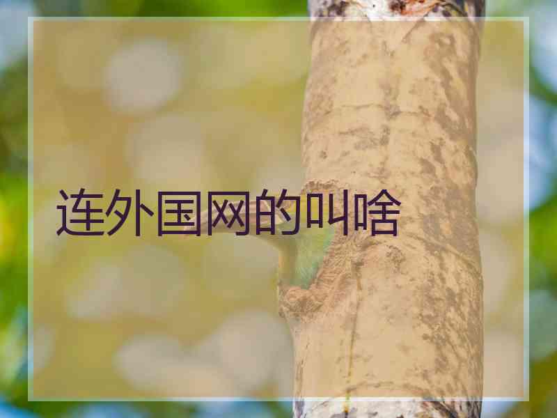 连外国网的叫啥