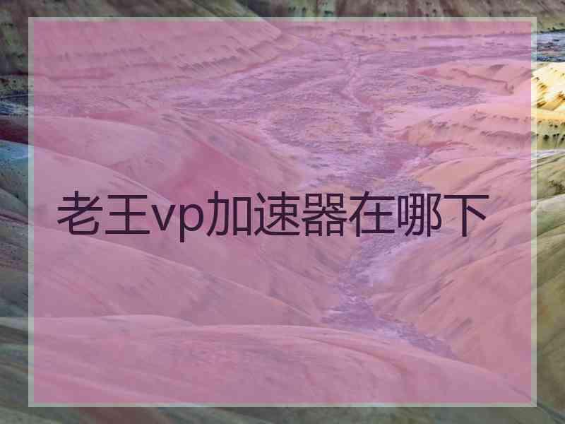 老王vp加速器在哪下