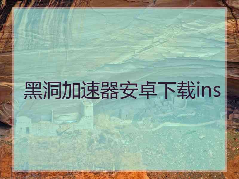 黑洞加速器安卓下载ins