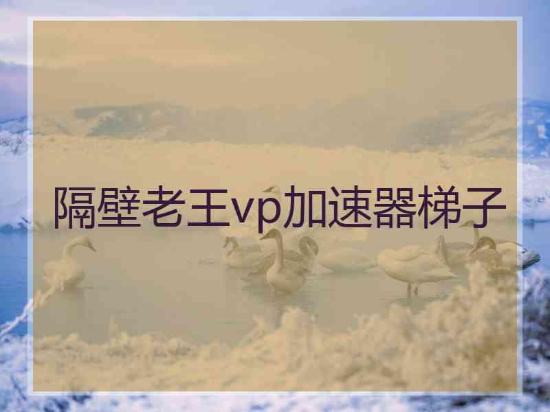 隔壁老王vp加速器梯子