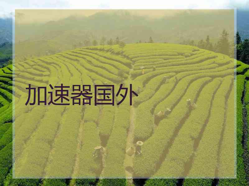 加速器国外