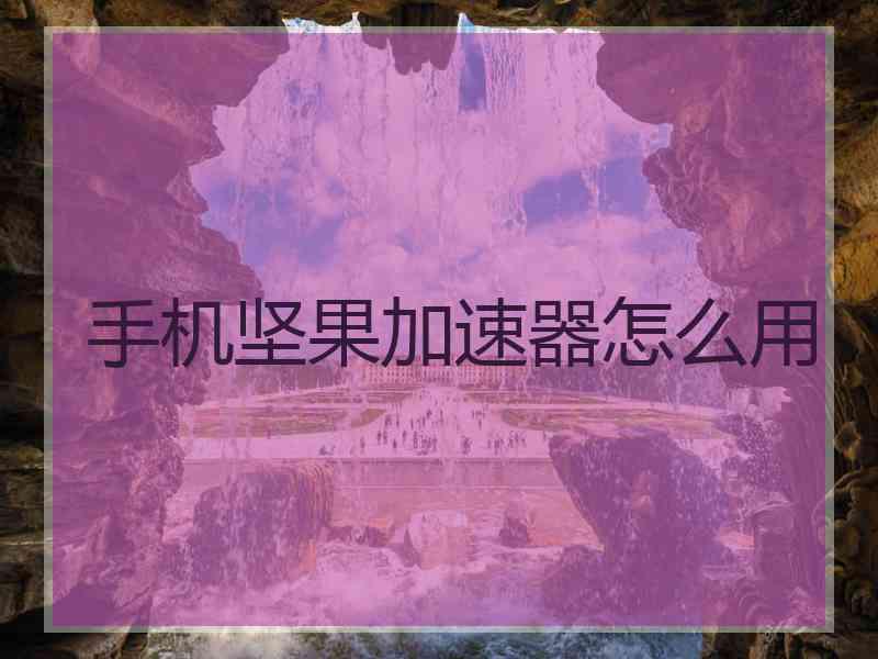 手机坚果加速器怎么用