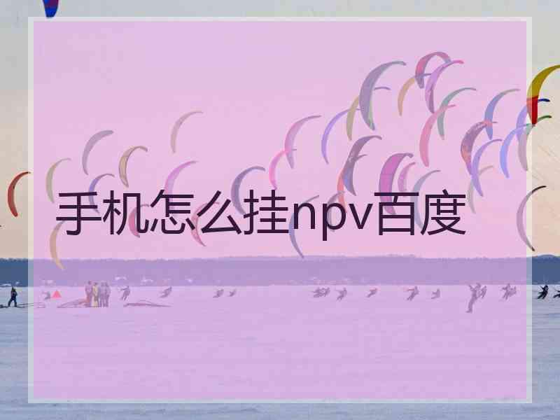 手机怎么挂npv百度