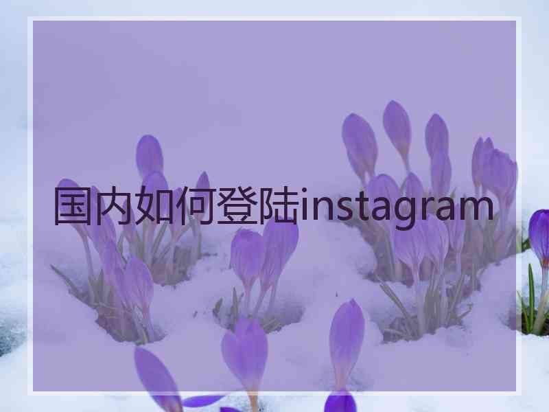 国内如何登陆instagram