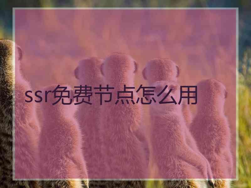 ssr免费节点怎么用