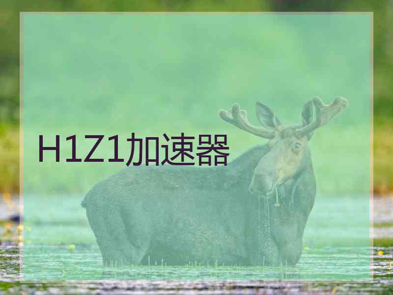 H1Z1加速器