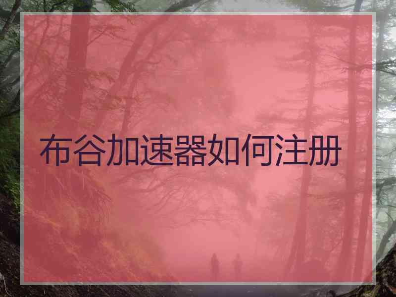 布谷加速器如何注册
