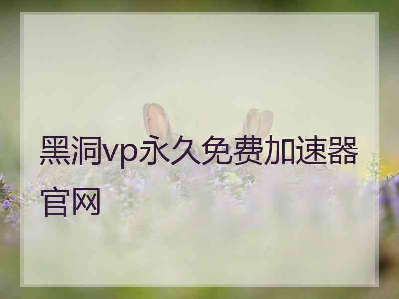 黑洞vp永久免费加速器官网