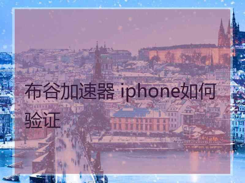 布谷加速器 iphone如何验证